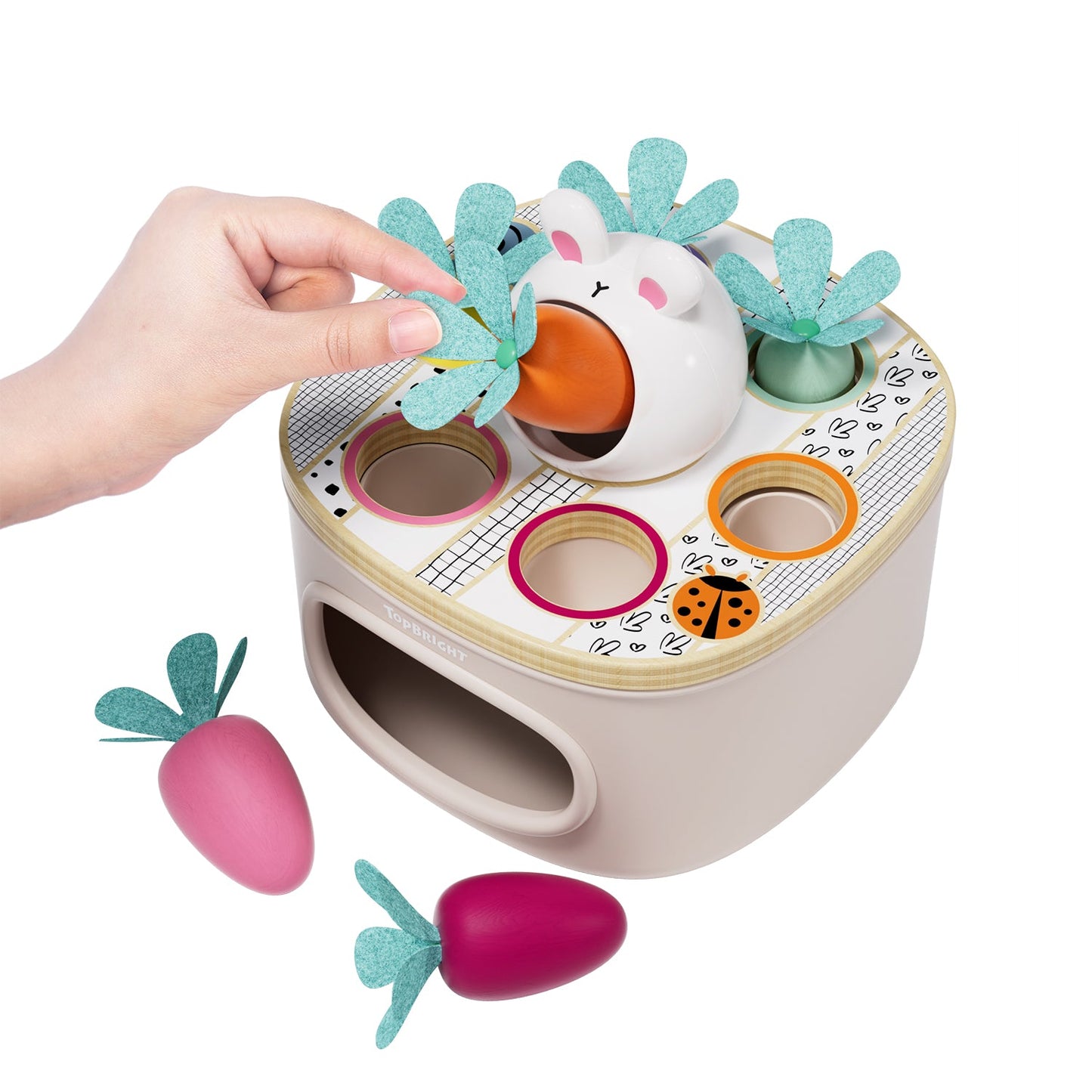 Topbright - Topbright - Match and sort carrots - Playlaan