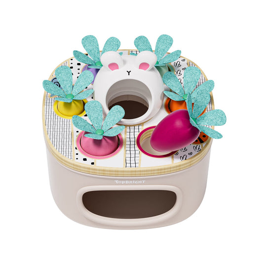 Topbright - Topbright - Match and sort carrots - Playlaan