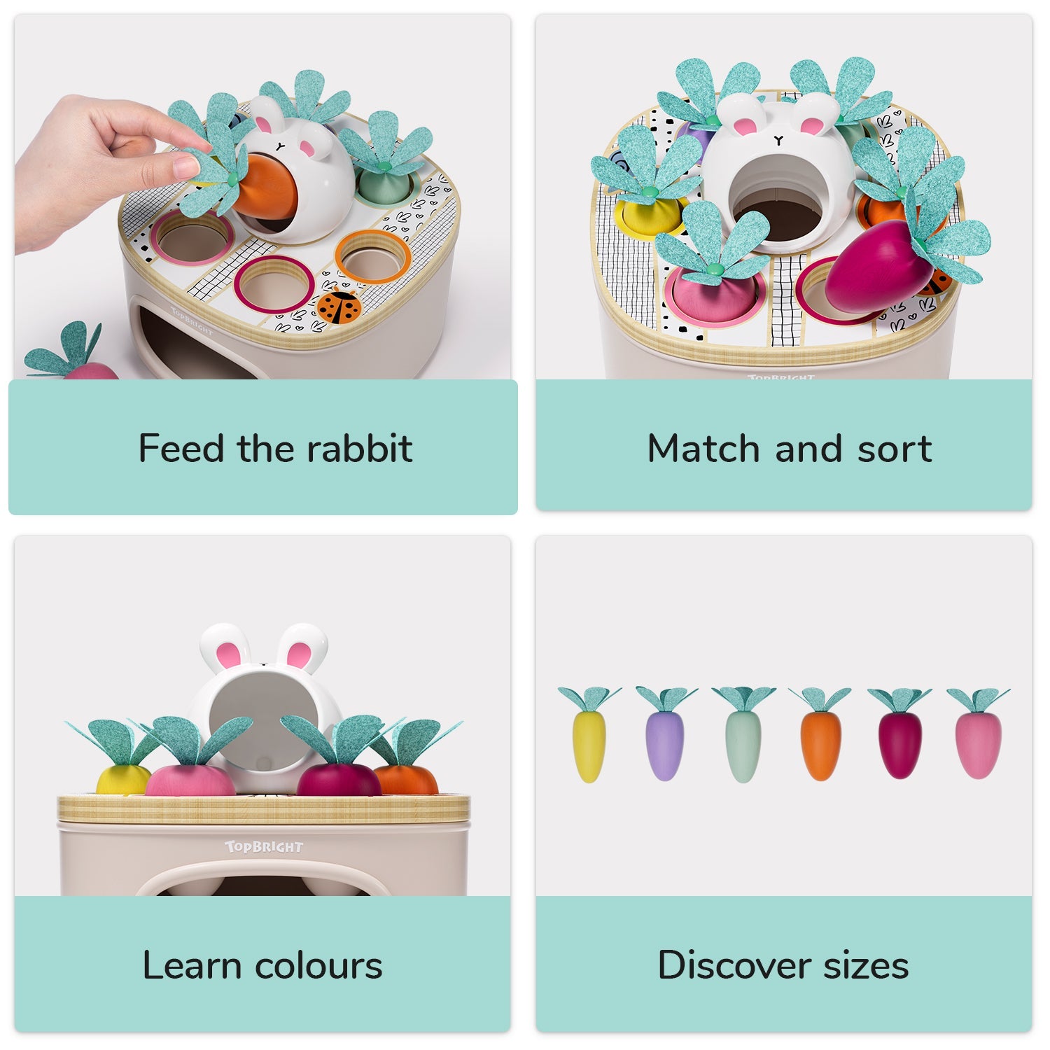 Topbright - Topbright - Match and sort carrots - Playlaan