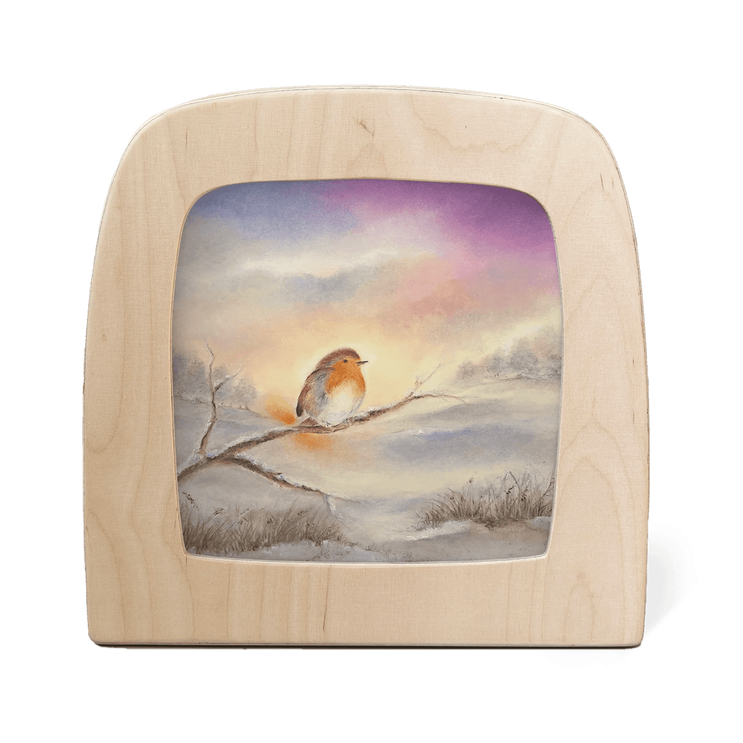 Toverlux - Baukje Exler - Winter Robin - Playlaan