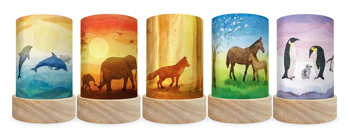 Toverlux - Toverlux - Shades Vogel Geluk - Fauna - Playlaan