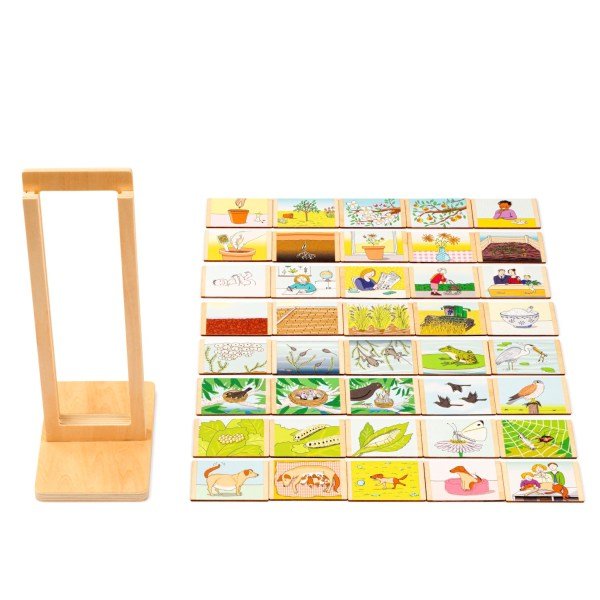 Toys for Life - Educo - Toys for Life - Educo - Levenscyclus speelset - Playlaan