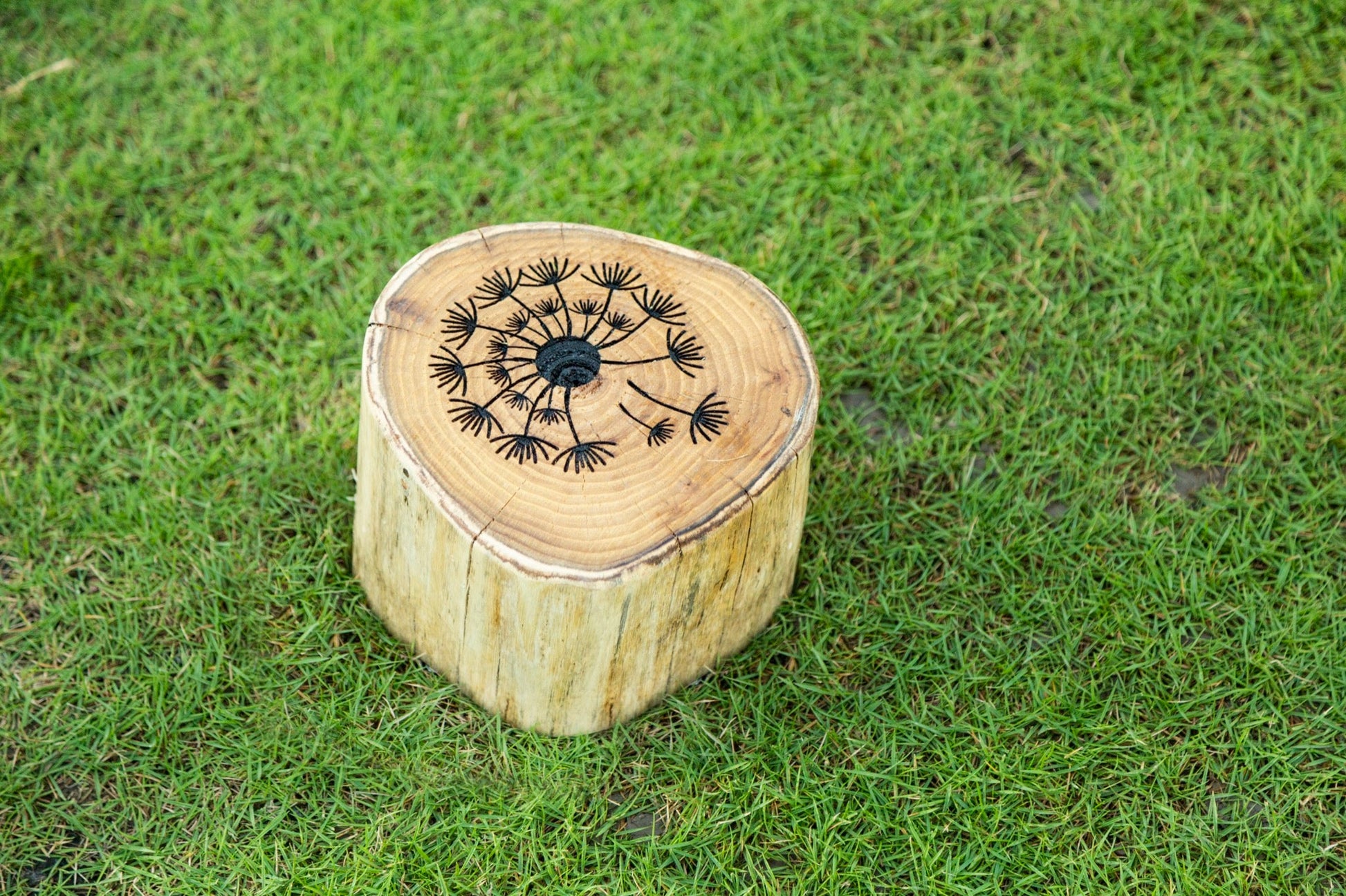 Wisdom - Balanspad voor buiten (set van 12) - Playlaan