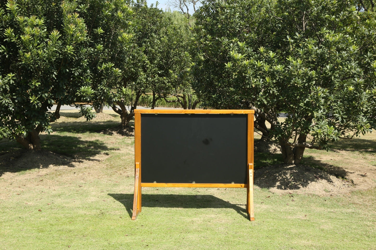 Wisdom - Krijtbord schildersezel voor buiten - Playlaan