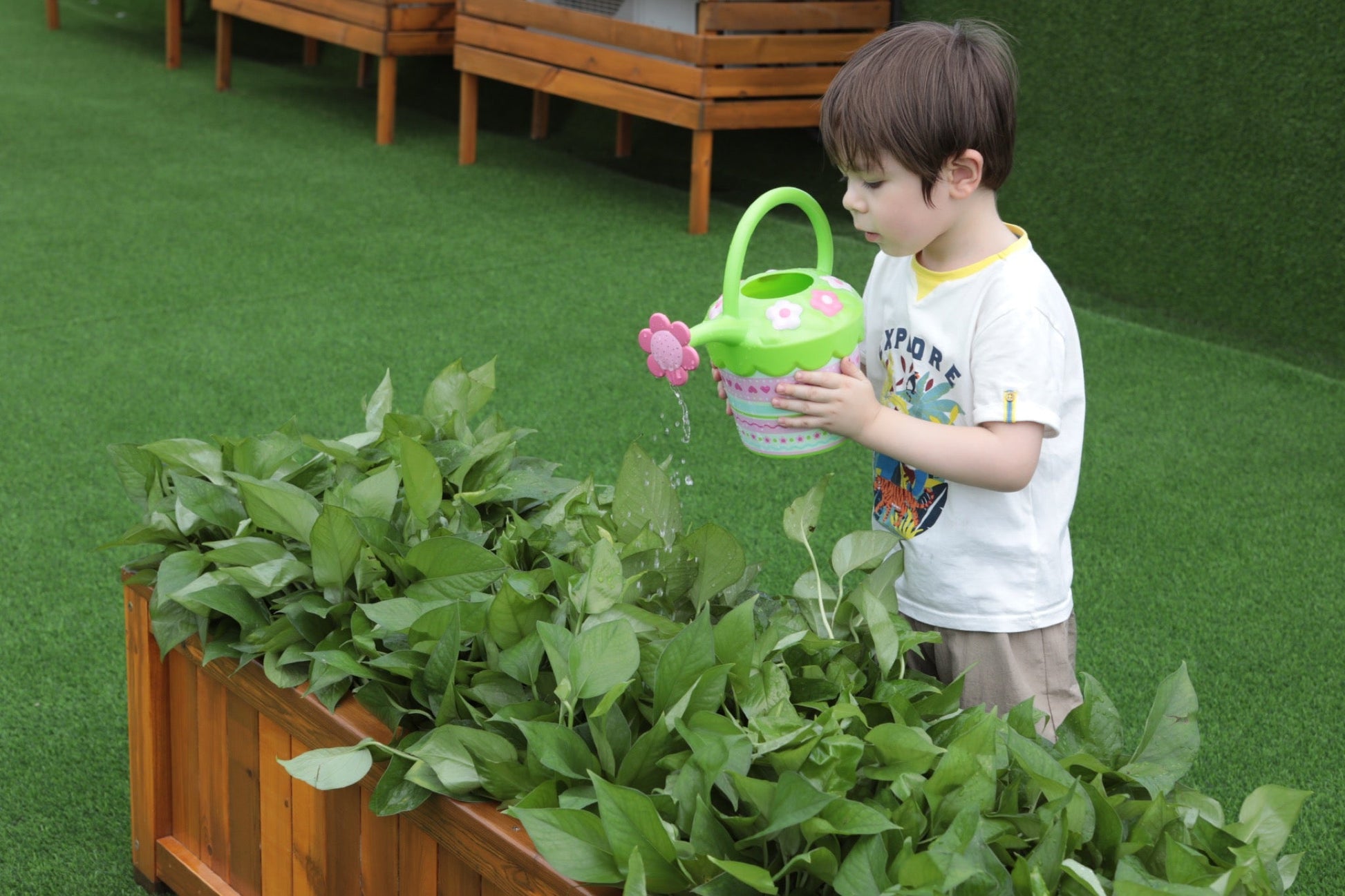Wisdom - Plantenbak voor peuter‑ of kleuterruimte - Playlaan