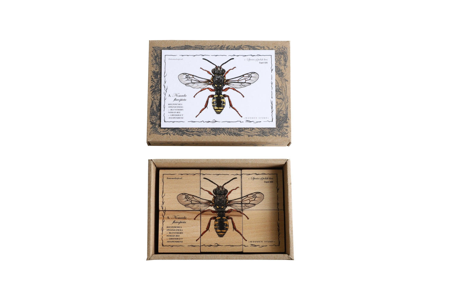 Wooden Story - Blocks Species Bees - Playlaan