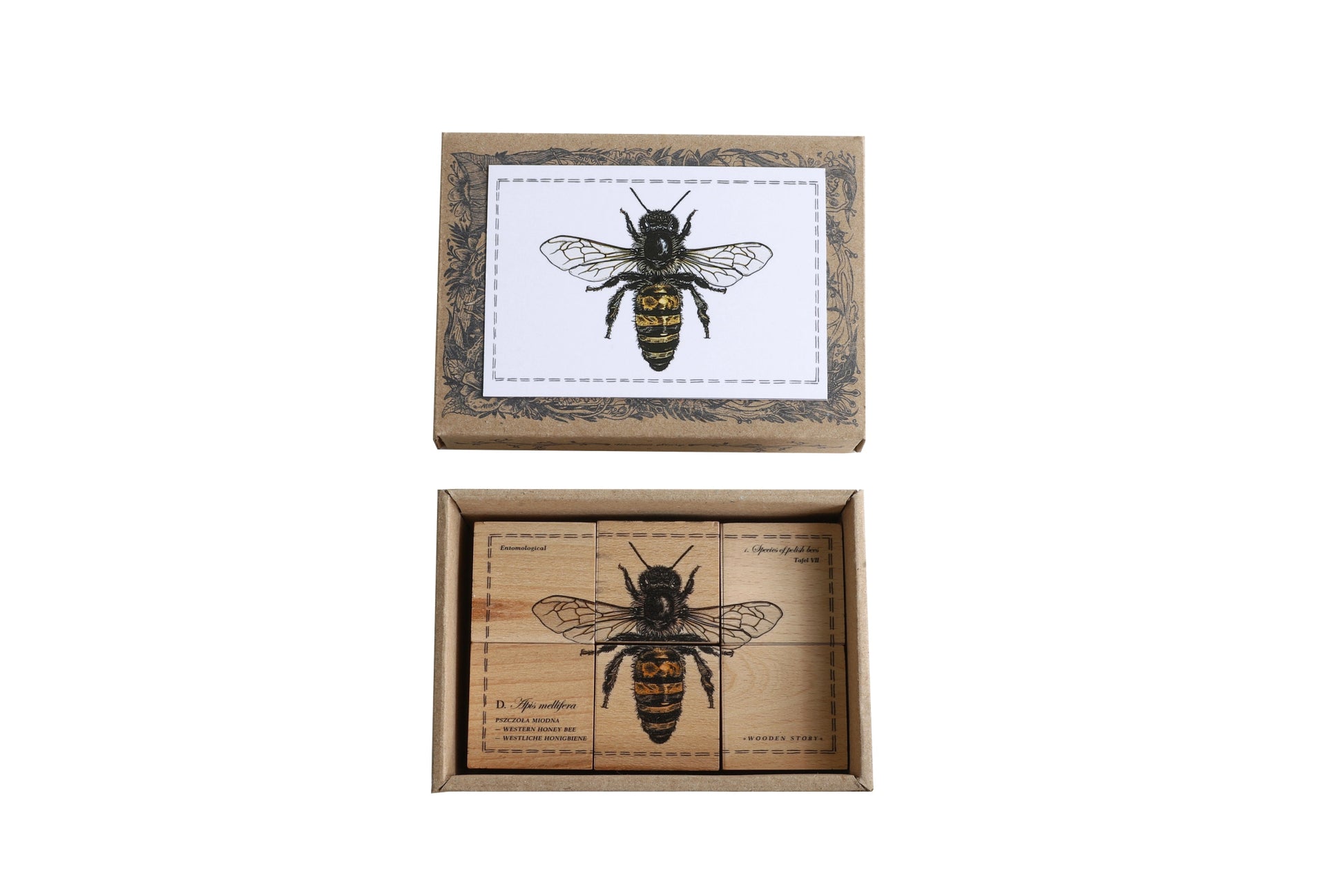 Wooden Story - Blocks Species Bees - Playlaan