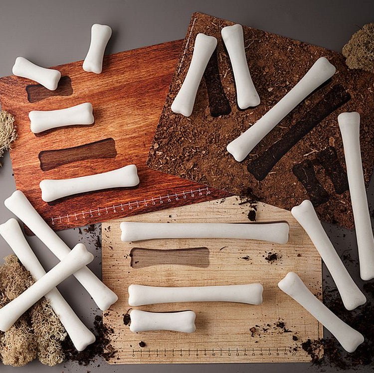 Yellow Door - Yellow door - Dinosaur botten match - en meetset - Playlaan