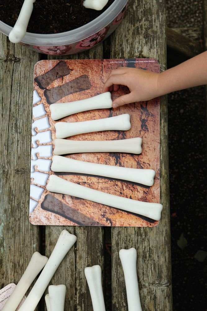 Yellow Door - Yellow door - Dinosaur botten match - en meetset - Playlaan