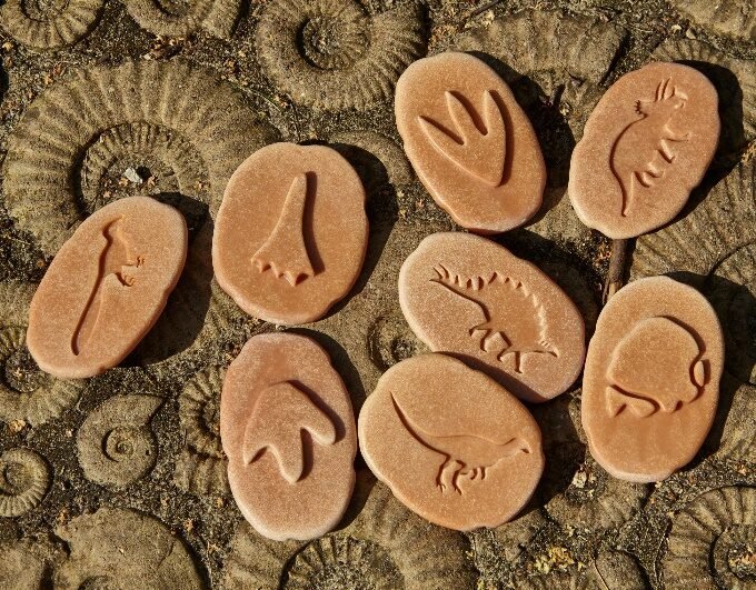 Yellow Door - Yellow door - Educatieve dinosaurussen ontdekcollectie - Playlaan