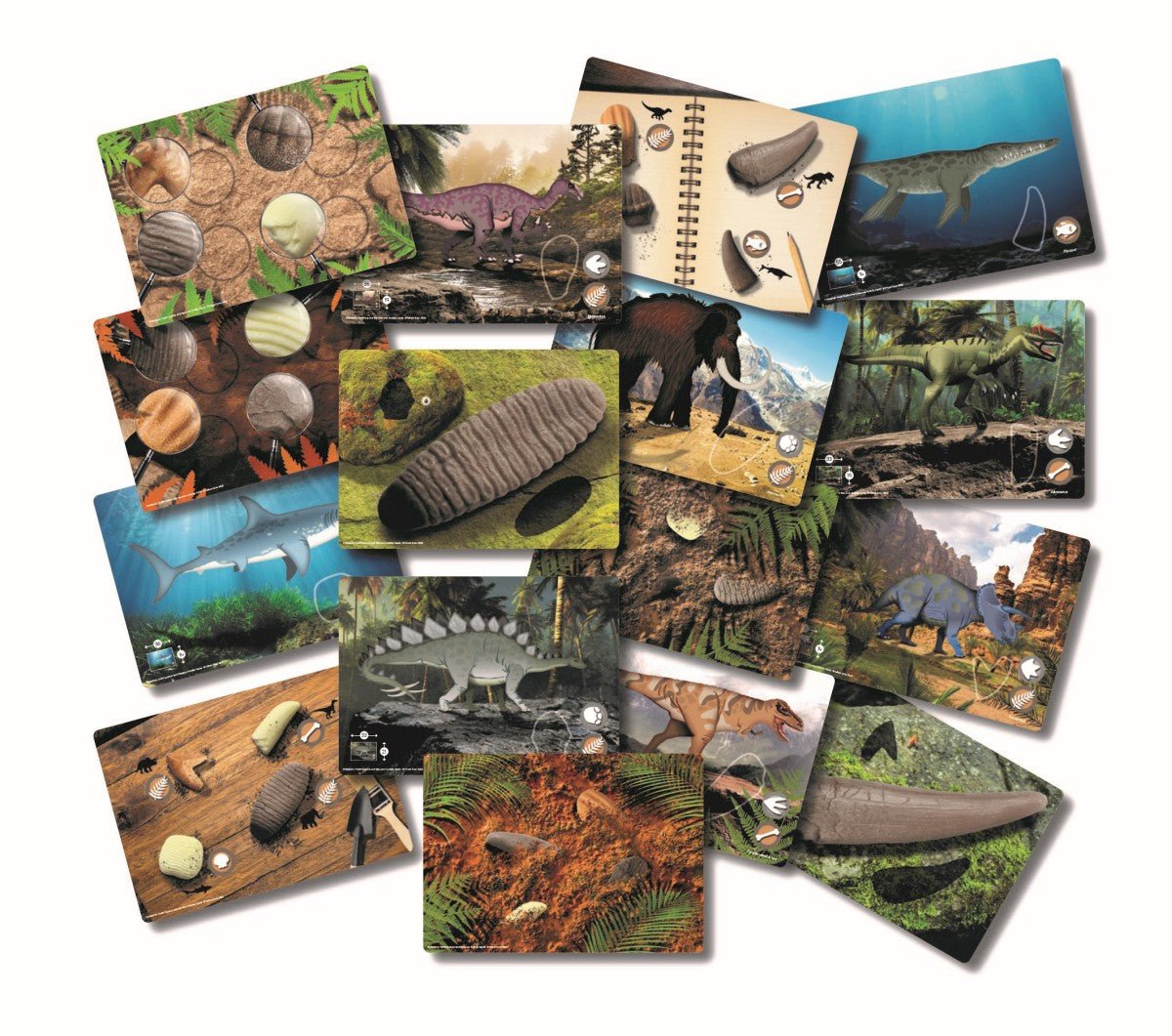 Yellow Door - Yellow door - Educatieve set prehistorische Dino tanden - Playlaan