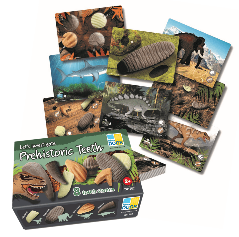 Yellow Door - Yellow door - Educatieve set prehistorische Dino tanden - Playlaan