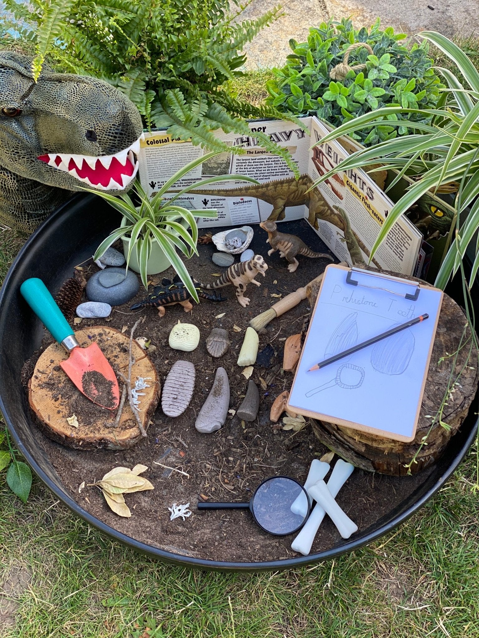 Yellow Door - Yellow door - Educatieve set prehistorische Dino tanden - Playlaan