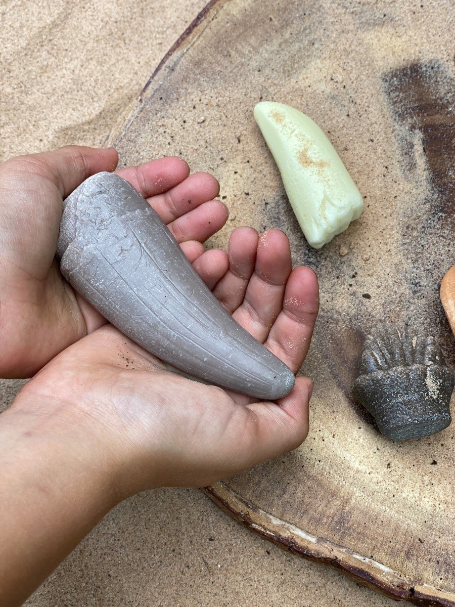 Yellow Door - Yellow door - Educatieve set prehistorische Dino tanden - Playlaan