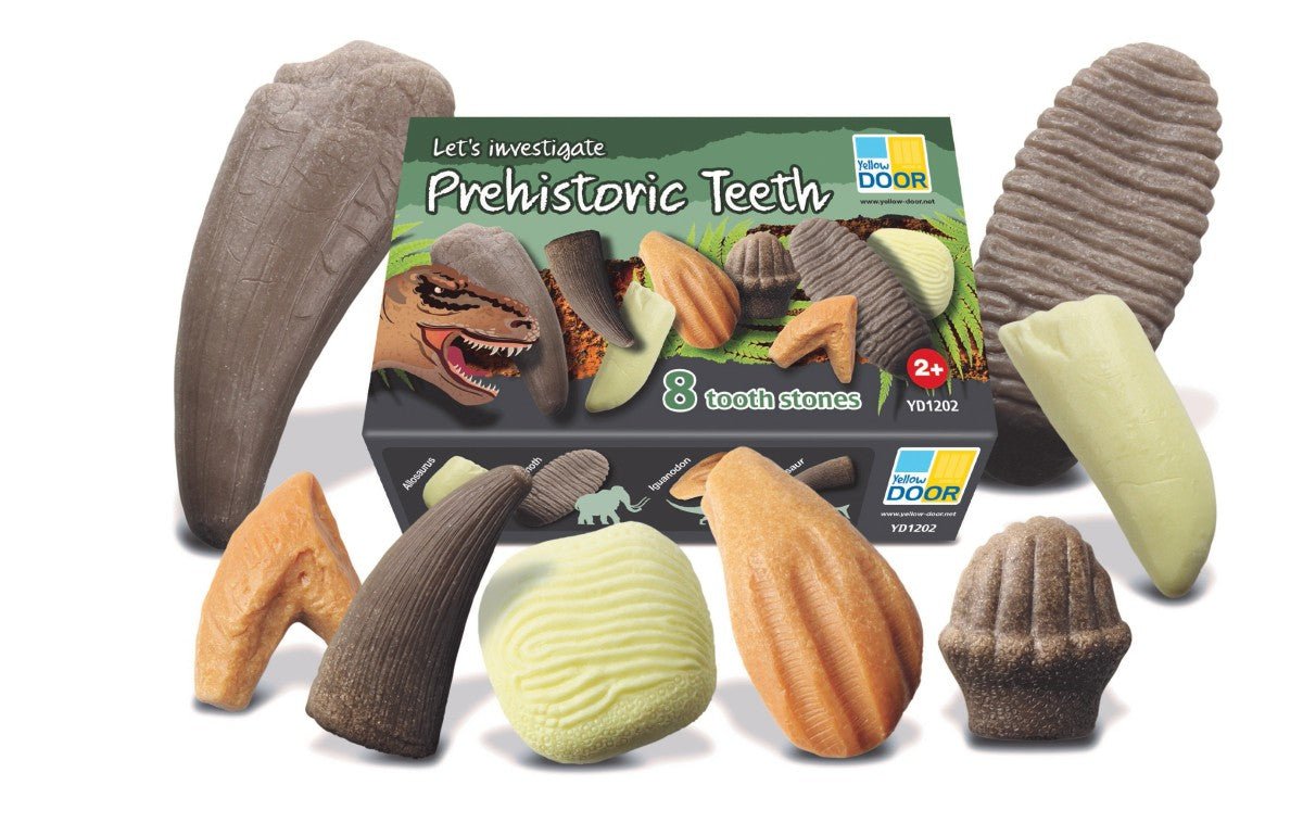 Yellow Door - Yellow door - Educatieve set prehistorische Dino tanden - Playlaan