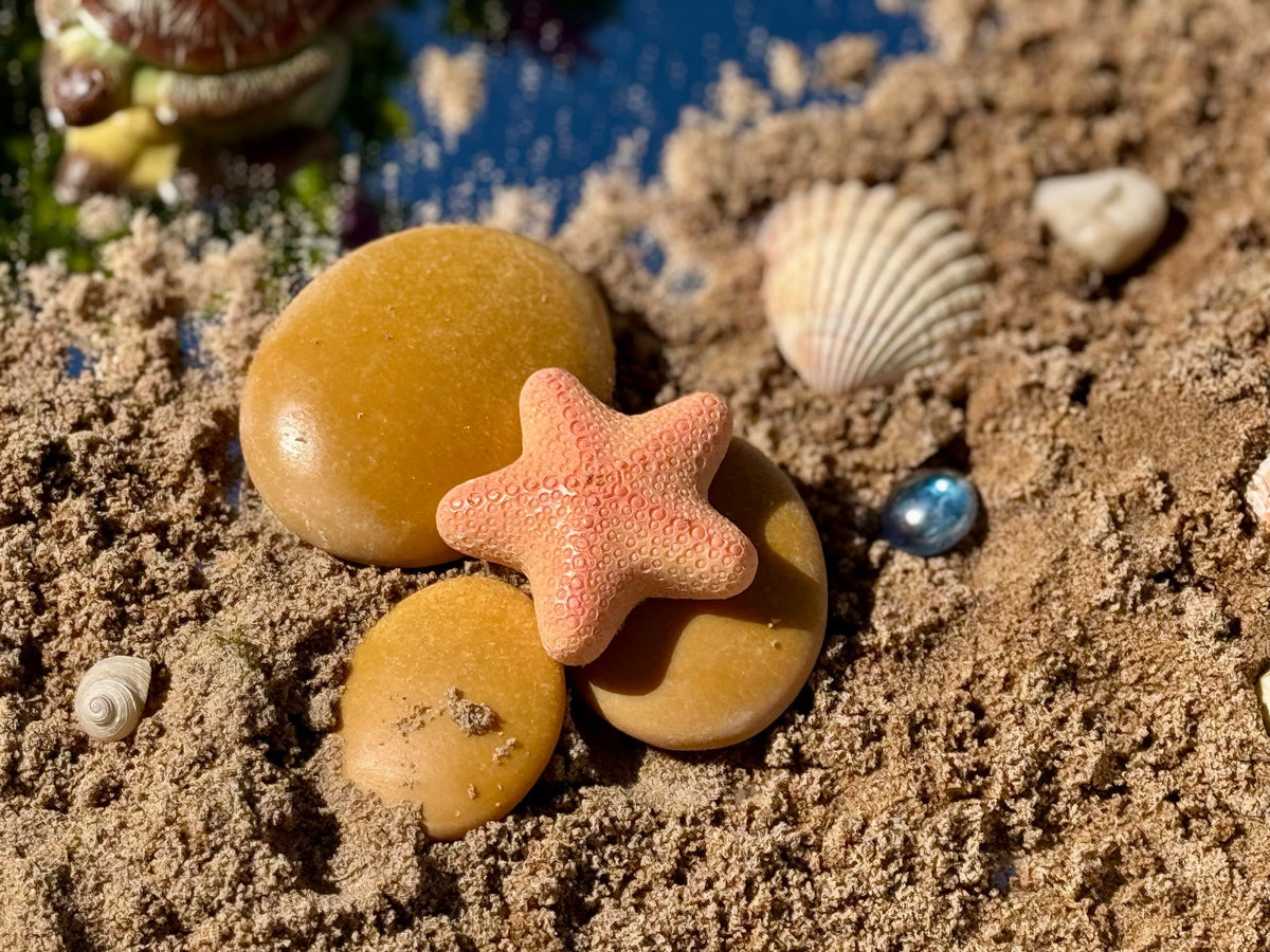 Yellow Door - Yellow Door - Sensory Play Stones - Ocean Life - Playlaan