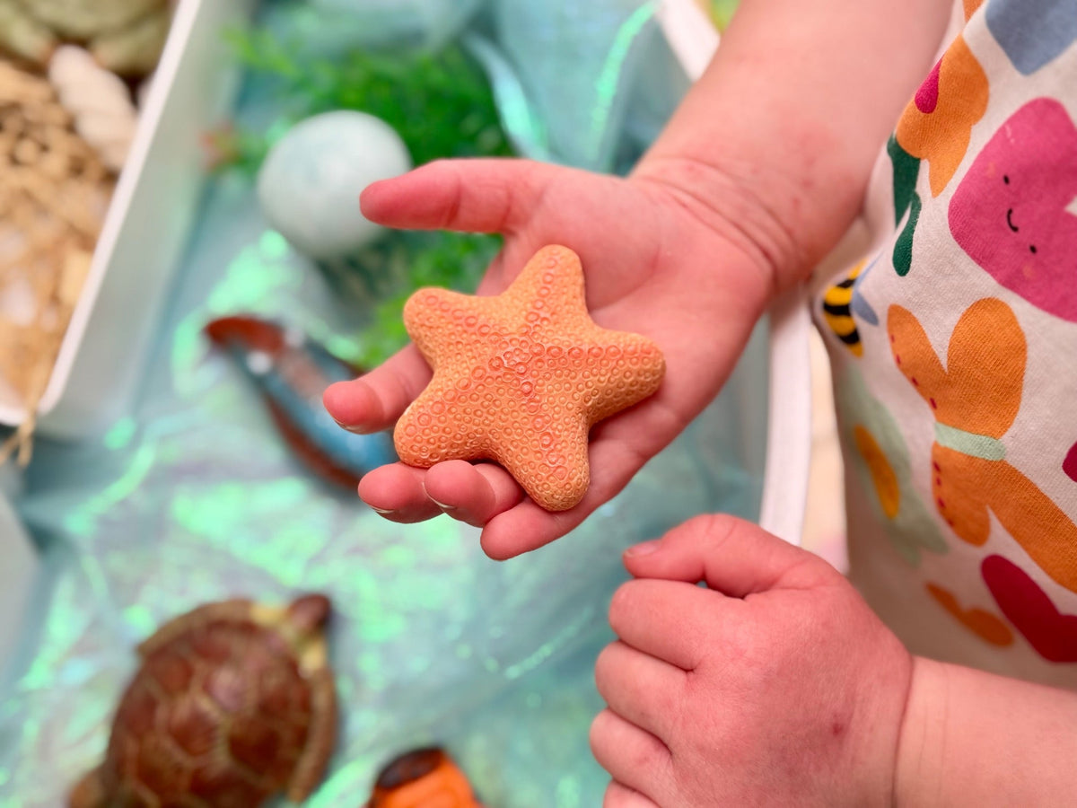 Yellow Door - Yellow Door - Sensory Play Stones - Ocean Life - Playlaan