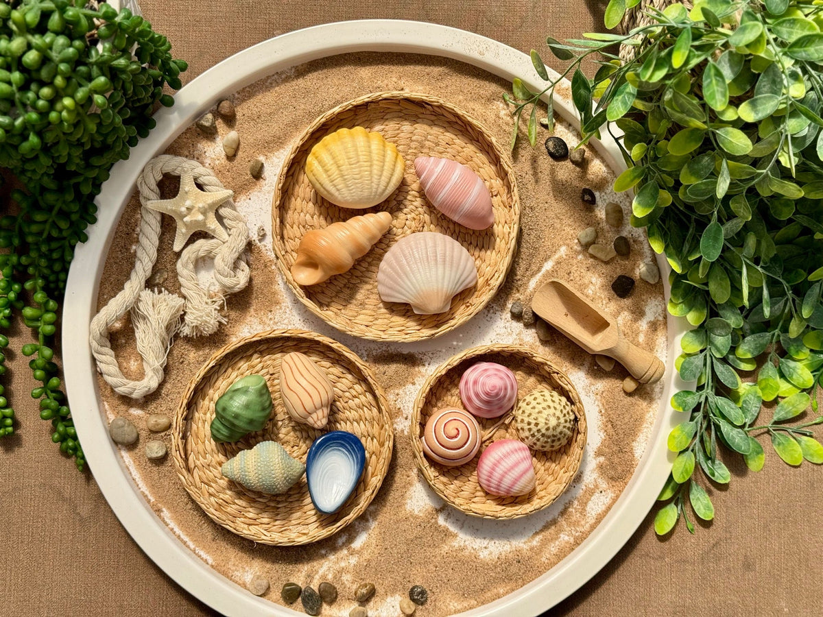 Yellow Door - Yellow Door - Sensory Play Stones - Seashells - Playlaan