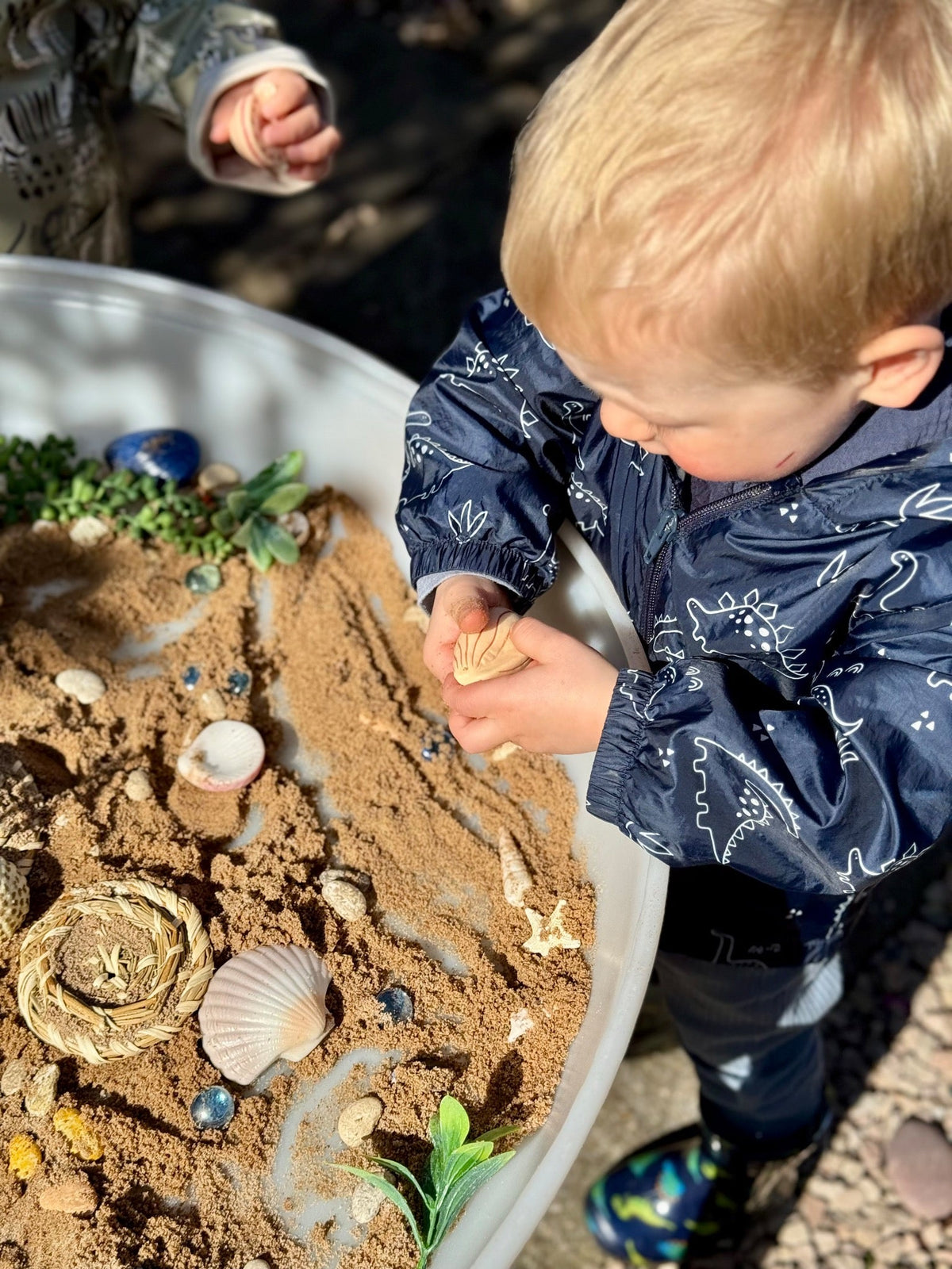 Yellow Door - Yellow Door - Sensory Play Stones - Seashells - Playlaan