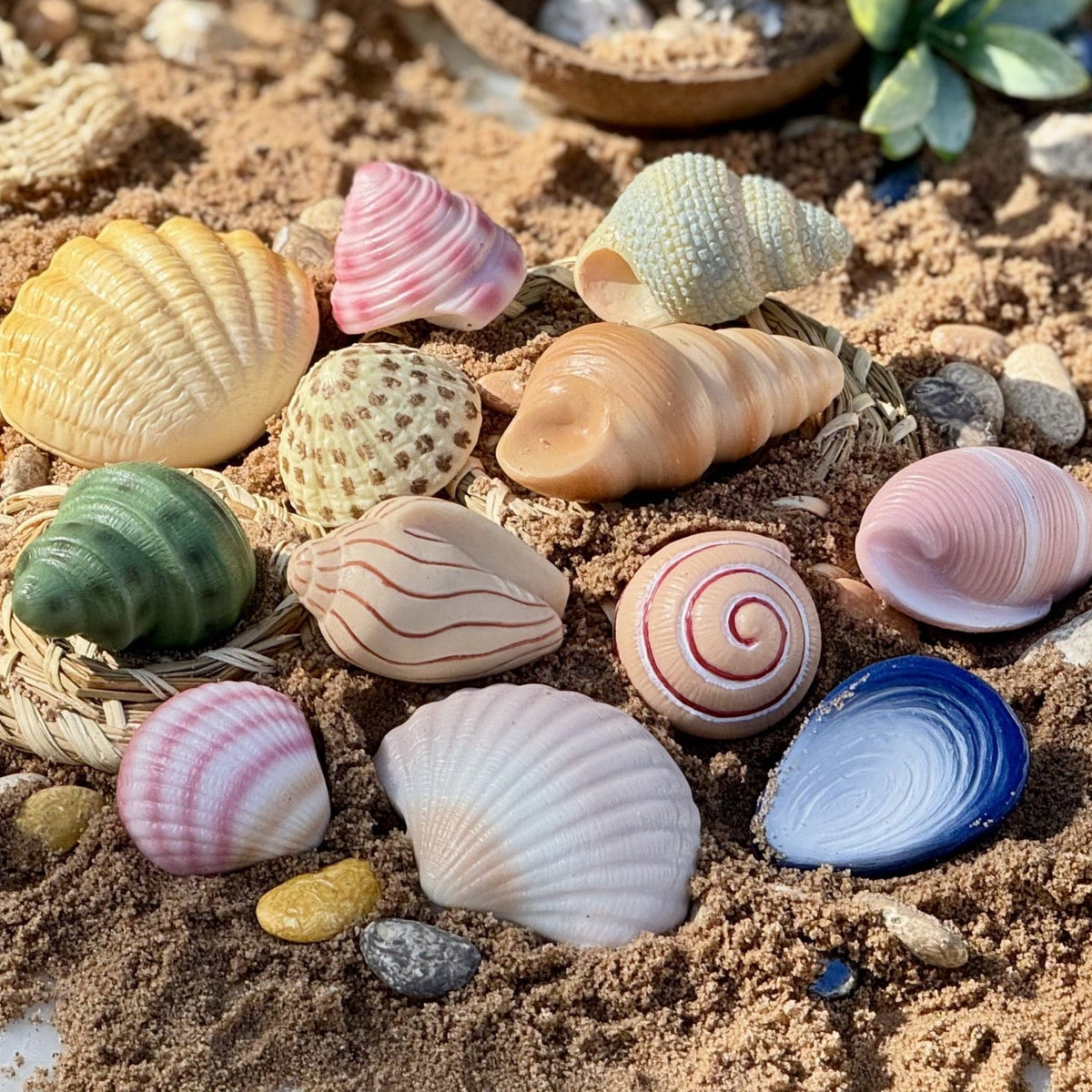 Yellow Door - Yellow Door - Sensory Play Stones - Seashells - Playlaan