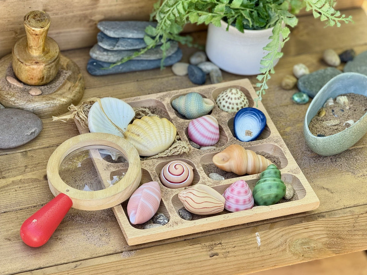 Yellow Door - Yellow Door - Sensory Play Stones - Seashells - Playlaan