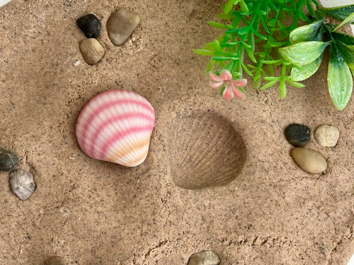 Yellow Door - Yellow Door - Sensory Play Stones - Seashells - Playlaan