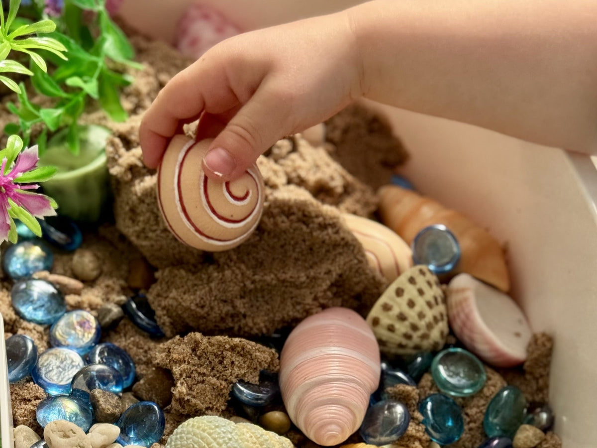 Yellow Door - Yellow Door - Sensory Play Stones - Seashells - Playlaan