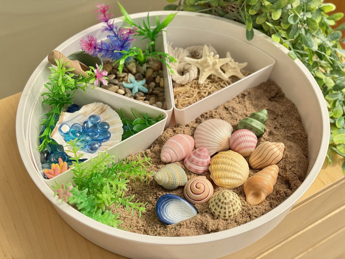 Yellow Door - Yellow Door - Sensory Play Stones - Seashells - Playlaan