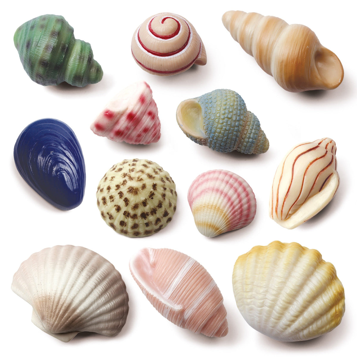 Yellow Door - Yellow Door - Sensory Play Stones - Seashells - Playlaan