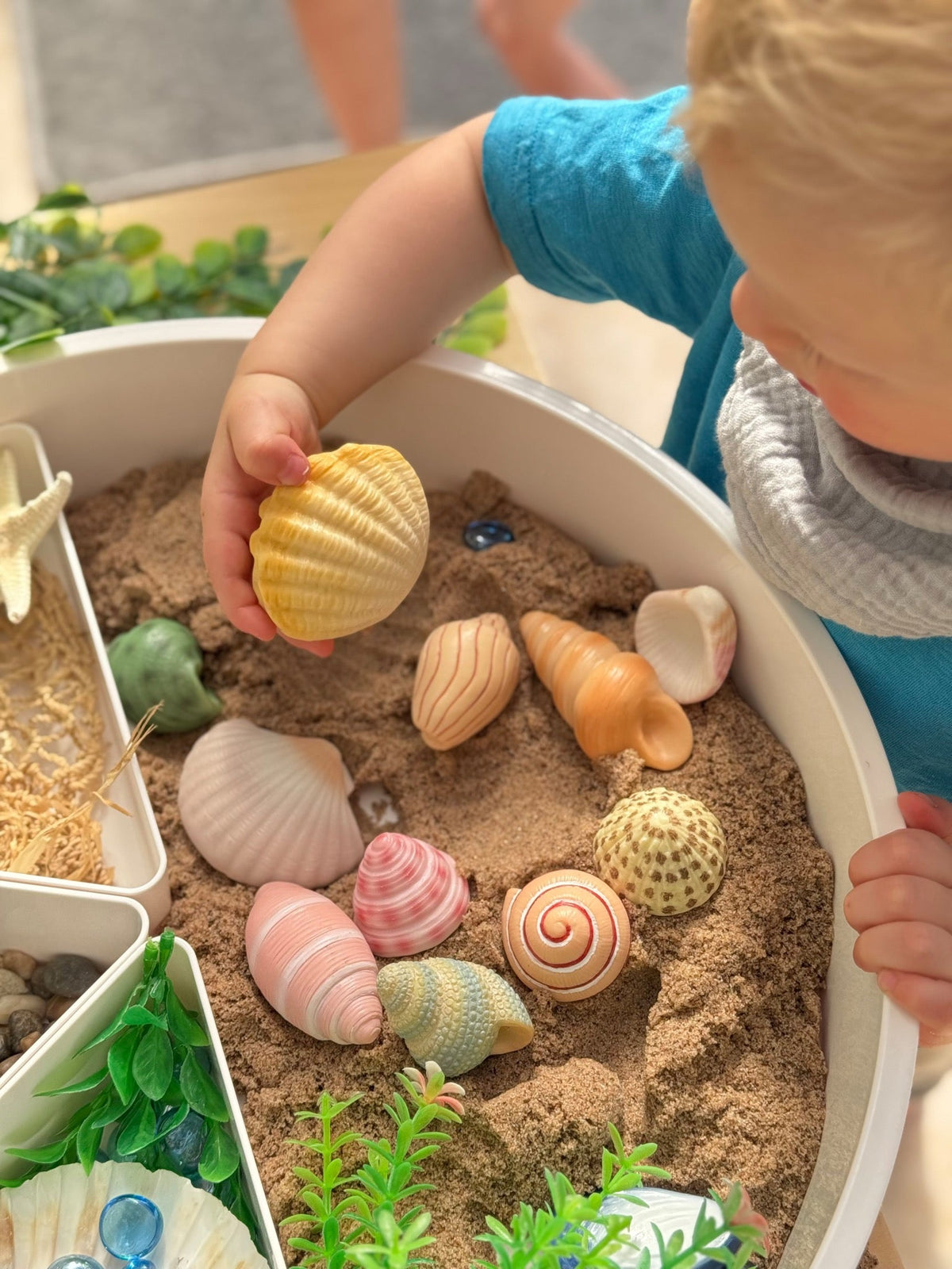 Yellow Door - Yellow Door - Sensory Play Stones - Seashells - Playlaan