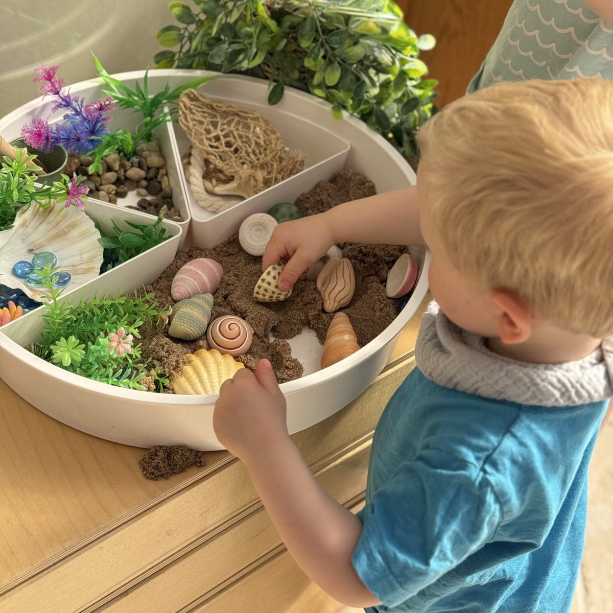 Yellow Door - Yellow Door - Sensory Play Stones - Seashells - Playlaan