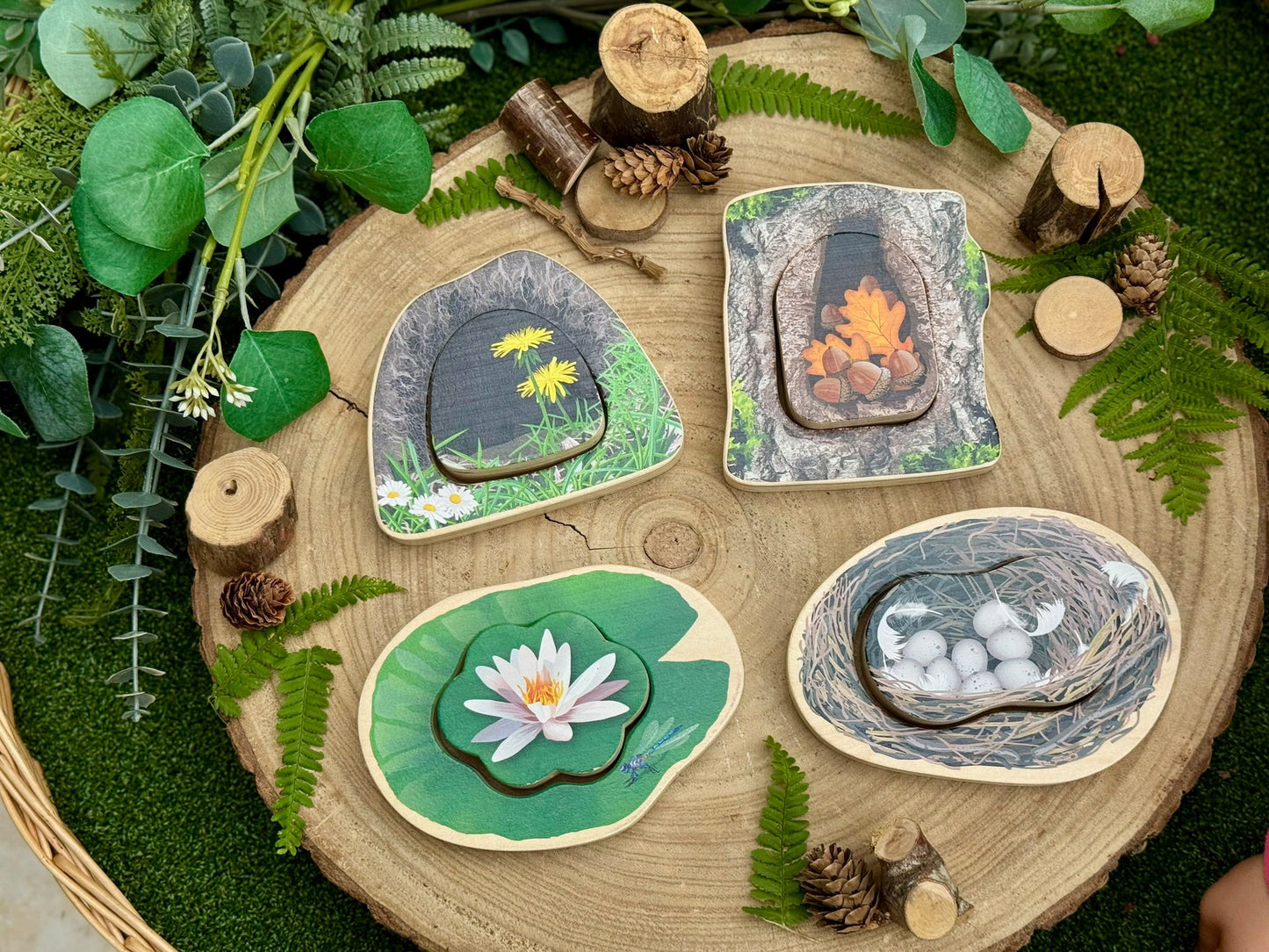 Yellow Door - Yellow door - Voel - en zoekspel - bosdieren - Playlaan