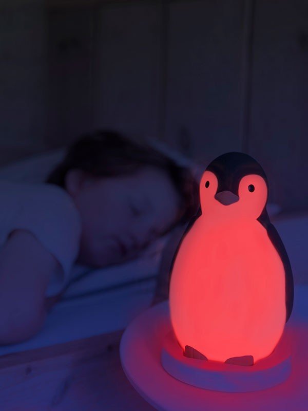 Zazu - Zazu - Slaaptrainer Penguin - Pam Gray - Playlaan