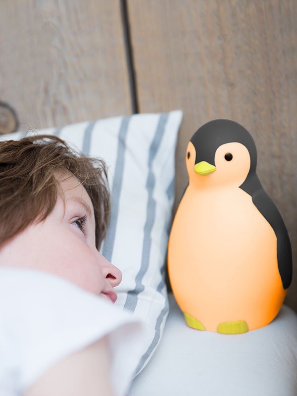 Zazu - Zazu - Slaaptrainer Penguin - Pam Gray - Playlaan