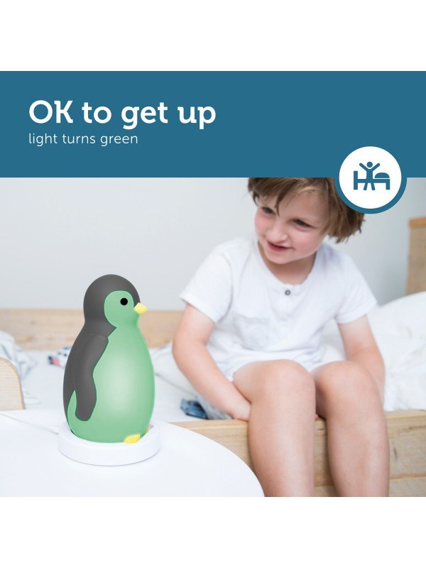 Zazu - Zazu - Slaaptrainer Penguin - Pam Gray - Playlaan