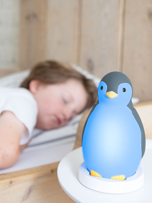 Zazu - Zazu - Slaaptrainer Penguin - Pam Gray - Playlaan