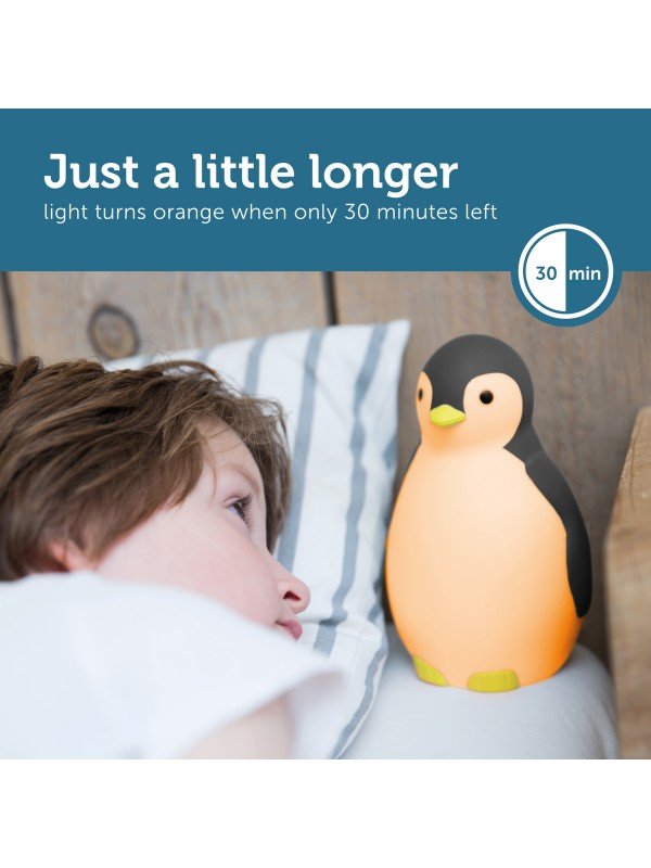 Zazu - Zazu - Slaaptrainer Penguin - Pam Gray - Playlaan