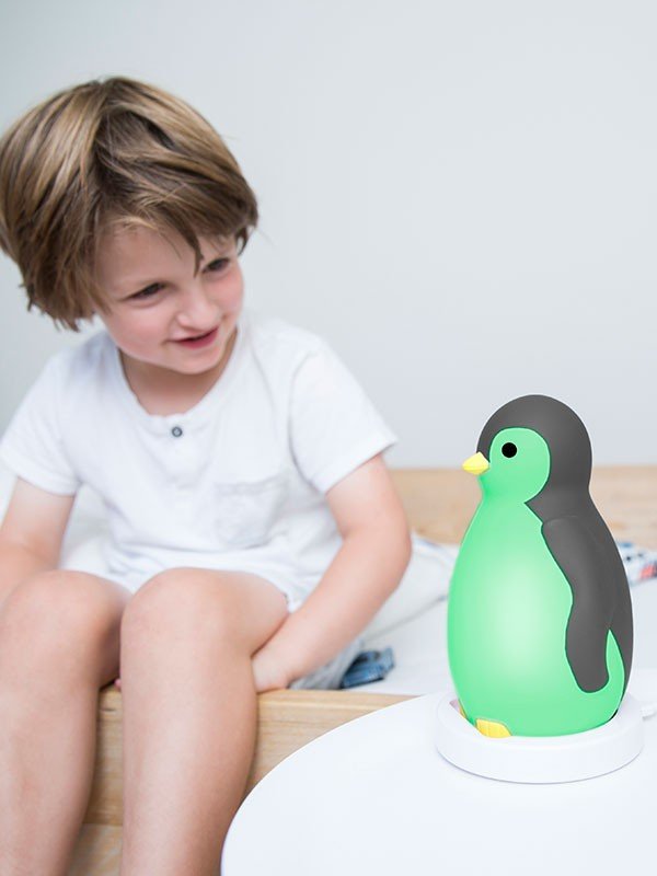 Zazu - Zazu - Slaaptrainer Penguin - Pam Gray - Playlaan