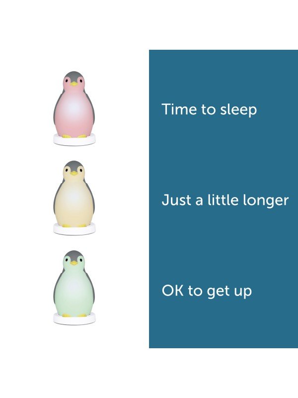 Zazu - Zazu - Slaaptrainer Penguin - Pam Gray - Playlaan