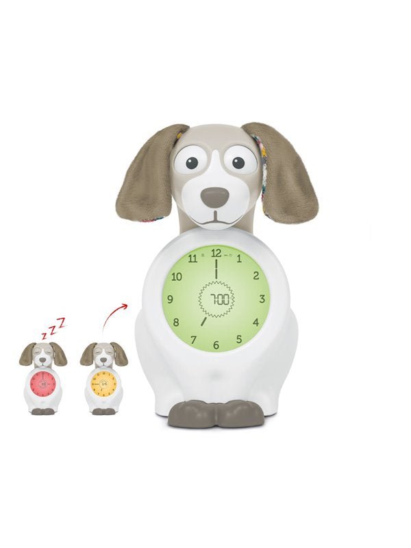 Zazu - Zazu - Sleeptrainer Hond - Davy Taupe - Playlaan