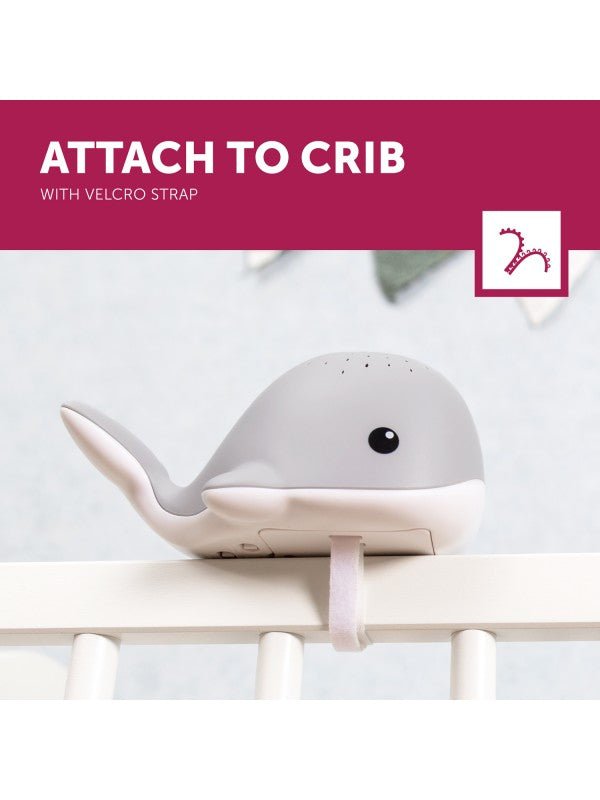 Zazu - Zazu - Wally Light Projector - Blauw - Playlaan