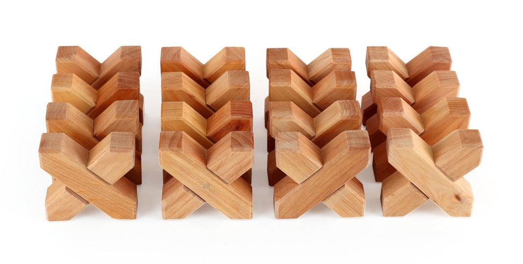 Bauspiel - X-Bricks 16 pieces - Playlaan