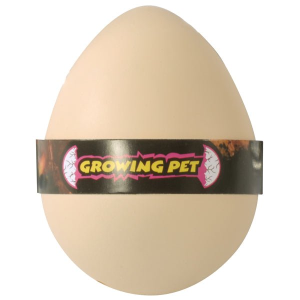 Eduplay - Growing Eggs - Zeedieren - Playlaan