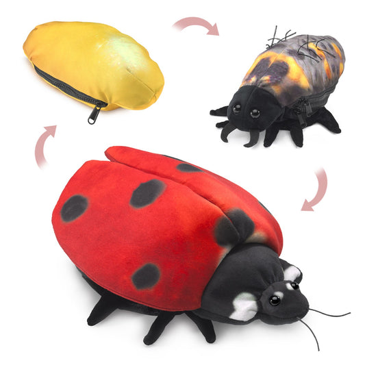 Folkmanis - Handpop - Ladybug Life Cycle - Playlaan