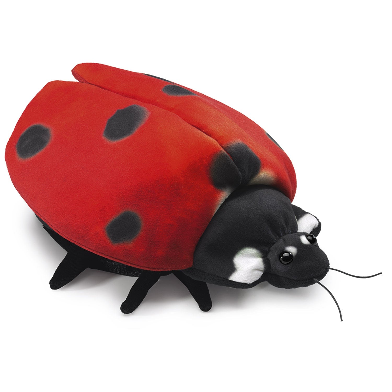 Folkmanis - Handpop - Ladybug Life Cycle - Playlaan