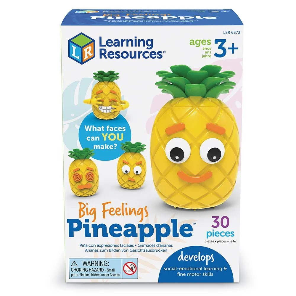 Learning Resources - Big Feelings Pineapple - Playlaan