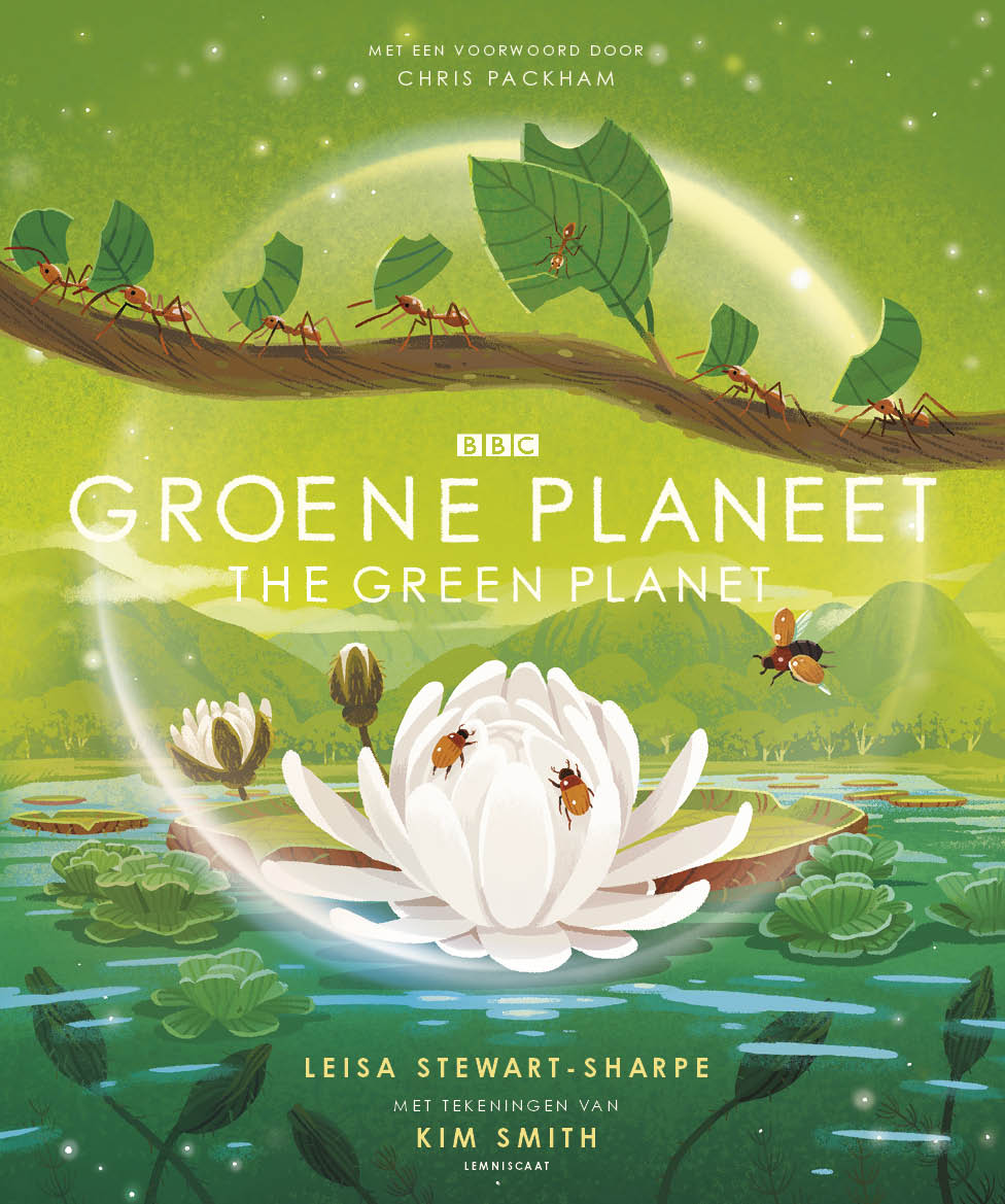 Lemniscaat - Groene Planeet - Playlaan