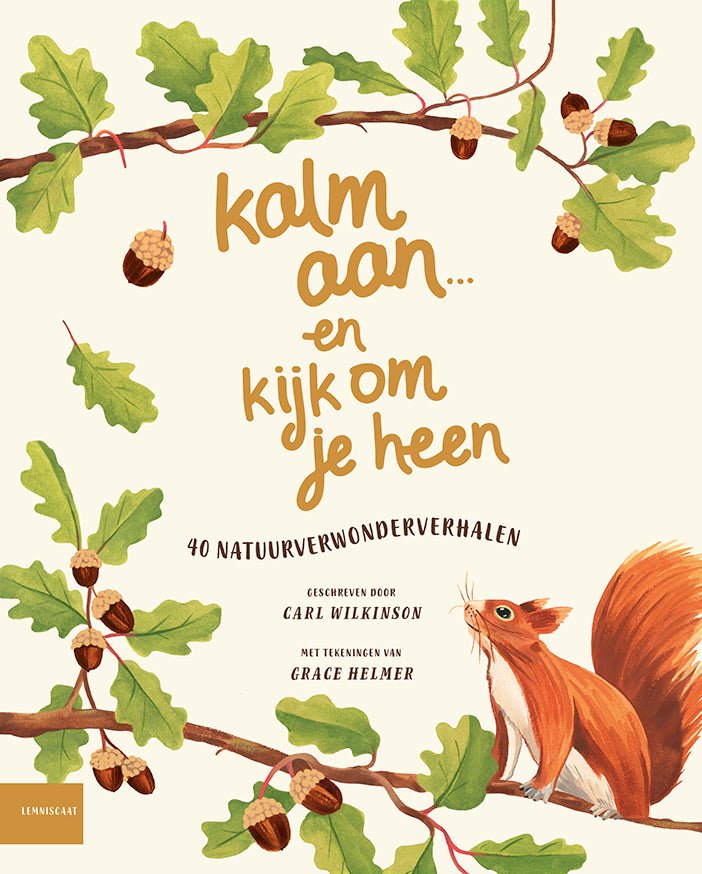 Lemniscaat - Kalm Aan…en Kijk om je heen - Playlaan