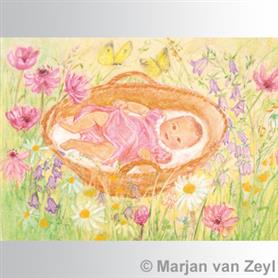 Marjan van Zeyl - Kaart M. v. Zeyl - Baby in mandje bloemen - Playlaan