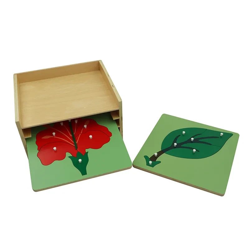 Moyo Montessori - 3 Botanische puzzels met kast - Playlaan